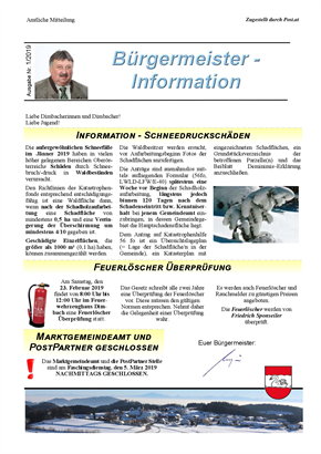 Bürgermeister-Information 01-2019.pdf
